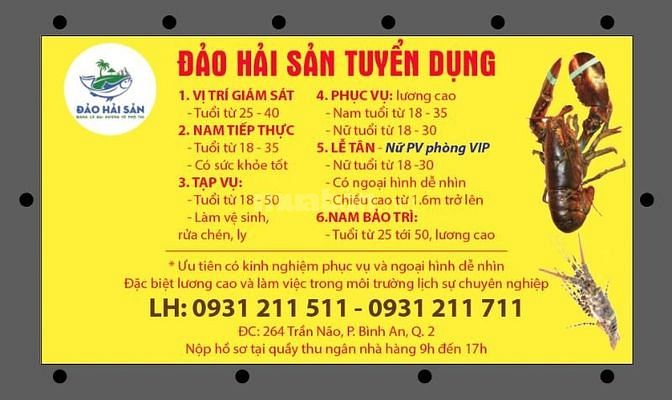 Đảo Hải Sản, tuyển dụng nhiều vị trí, lương cao, tuồi từ 18 - 50t 55275724 Đảo Hải Sản, tuyển dụng nhiều vị trí, lương cao, tuồi từ 18 - 50t