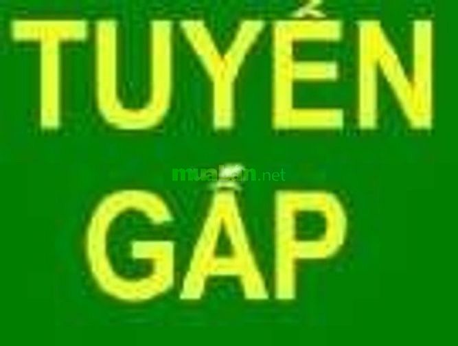 Cần tuyển gấp nhân viên bán hàng. 55331923 Cần tuyển gấp nhân viên bán hàng.