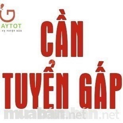 Tuyển nhân viên bán hàng tại siêu thị 55368132 Tuyển nhân viên bán hàng tại siêu thị