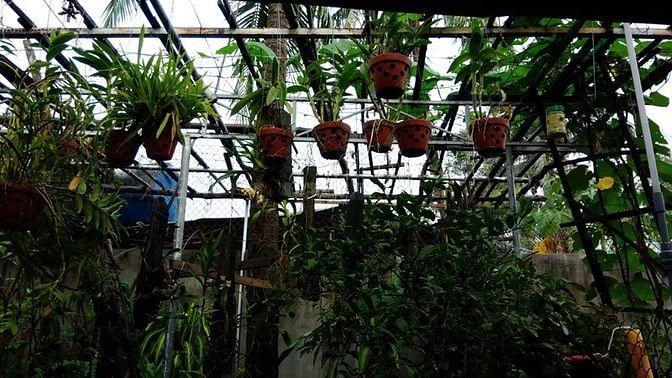 GấpChính chủ đi Nha Trang cần bán nhà ĐẸP, GIÁ TỐT Ninh Hòa, Khánh Hòa 55402087 GấpChính chủ đi Nha Trang cần bán nhà ĐẸP, GIÁ TỐT Ninh Hòa, Khánh Hòa