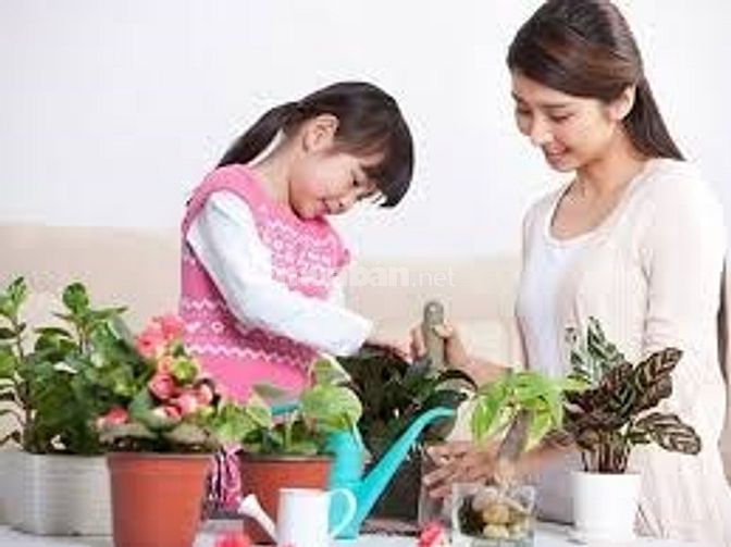 Cần Tuyển 1 Nữ Giúp Việc Nhà, Ở Lại Bao Ăn Ở 55398659 Cần Tuyển 1 Nữ Giúp Việc Nhà, Ở Lại Bao Ăn Ở