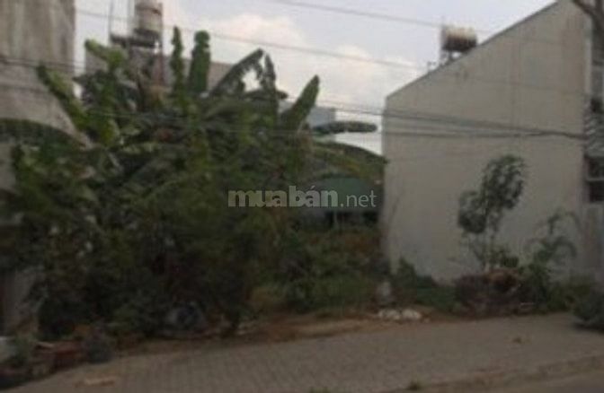 Bán gấp đất MT đường KÊNH TÂN HOÁ cách uỷ ban nhân dân P.Hoà 300m 55379594 Bán gấp đất MT đường KÊNH TÂN HOÁ cách uỷ ban nhân dân P.Hoà 300m