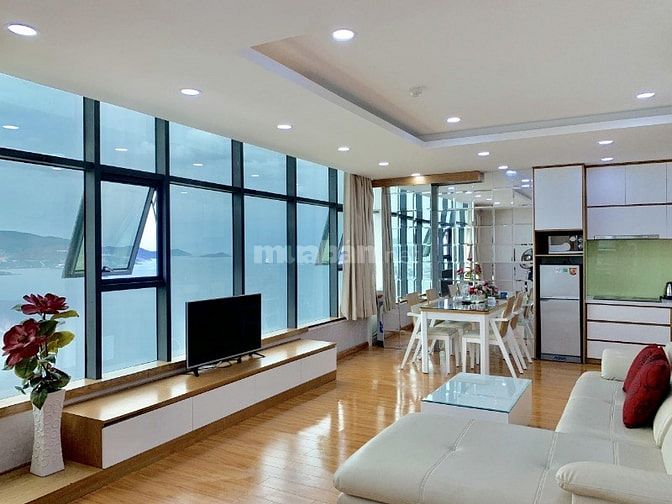 Cho Thuê Căn Hộ Mường Thanh 60 Trần Phú - Lộc Thọ 55436613 Cho Thuê Căn Hộ Mường Thanh 60 Trần Phú - Lộc Thọ