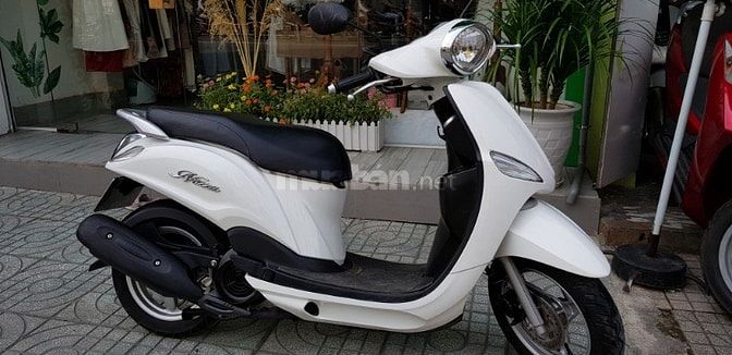 NOZA Biển số TP Màu trắng 2016 55445748 NOZA Biển số TP Màu trắng 2016