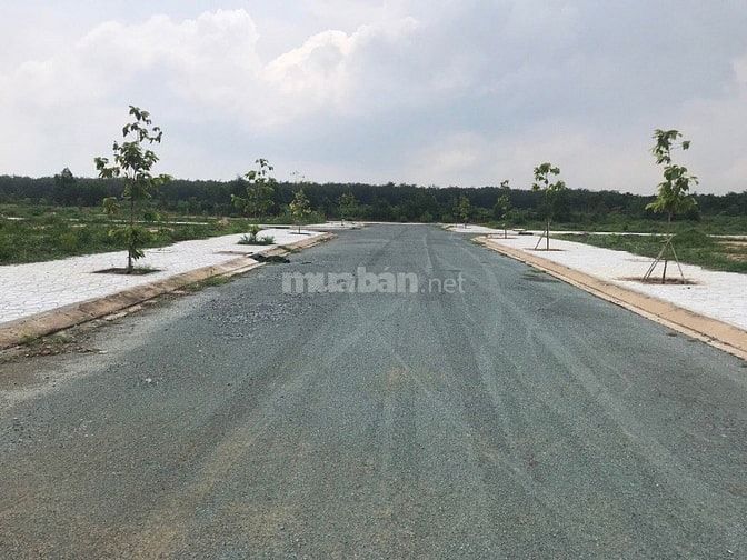 Đất nền sân bay quốc tế Long Thành giá tốt để đầu tư 55467522 Đất nền sân bay quốc tế Long Thành giá tốt để đầu tư