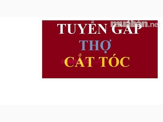 Cửa Hàng Cắt Tóc nam tuyển 3 Thợ cắt, 2 Thợ gội đầu 55456275 Cửa Hàng Cắt Tóc nam tuyển 3 Thợ cắt, 2 Thợ gội đầu
