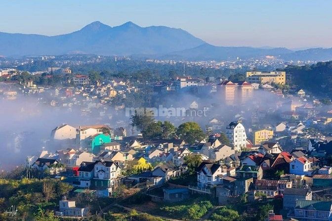 Cần bán căn nhà trong KQH Thái Lâm phường 4 Đà Lạt 55459252 Cần bán căn nhà trong KQH Thái Lâm phường 4 Đà Lạt