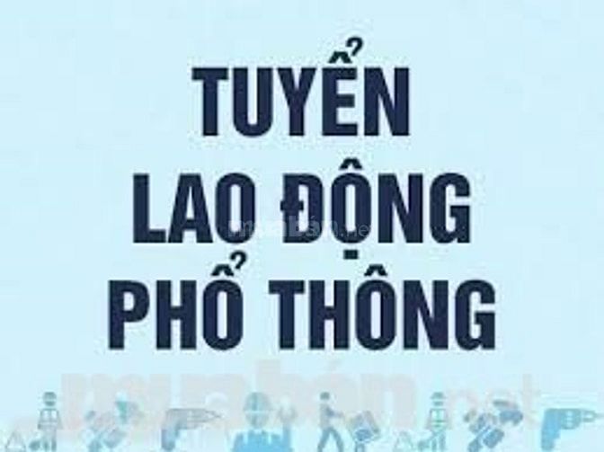 Tuyển lao động phổ thông làm tại Huyện Củ Chi, lương cao 54155189 Tuyển lao động phổ thông làm tại Huyện Củ Chi, lương cao