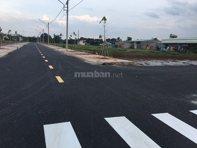 Đất Trung Tâm Thành Phố Mới 530tr/180m2 55460750 Đất Trung Tâm Thành Phố Mới 530tr/180m2