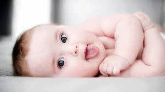 Cần người phụ việc nhà, Thật thà sạch sẽ, nhà sở hữu 2 mẹ con 55462221 Cần người phụ việc nhà, Thật thà sạch sẽ, nhà sở hữu 2 mẹ con