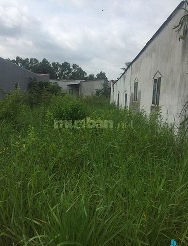 Cần vốn làm ăn bán gấp 110m2 QL50 bình chánh giá 765tr 55440093 Cần vốn làm ăn bán gấp 110m2 QL50 bình chánh giá 765tr