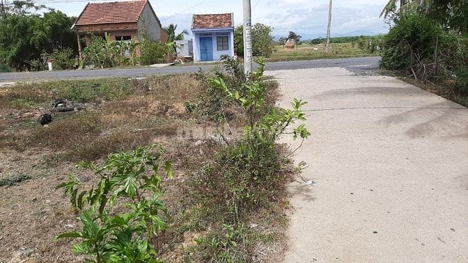 Chính chủ cần bán lô đất 2 mặt tiền đường DT7 16m thị xã ninh hòa! 55444162 Chính chủ cần bán lô đất 2 mặt tiền đường DT7 16m thị xã ninh hòa!