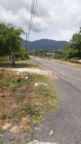 Chính chủ cần bán lô đất 2 mặt tiền đường DT7 16m thị xã ninh hòa! 55444162 Chính chủ cần bán lô đất 2 mặt tiền đường DT7 16m thị xã ninh hòa!