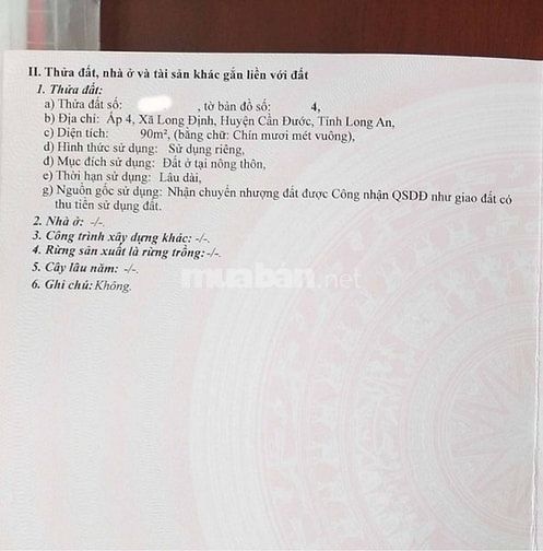 Bán Đất nền Cần Đước - hình thực không vướng cống, cột điện, cây 55495851 Bán Đất nền Cần Đước - hình thực không vướng cống, cột điện, cây