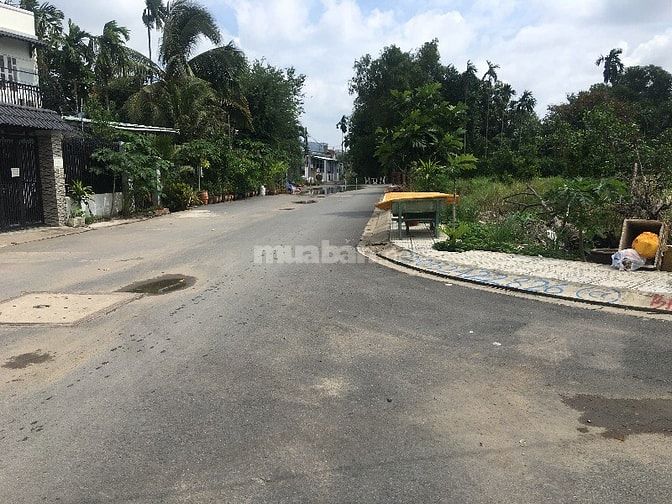Bán nhà cấp 4 hẻm 114 vườn lài thông ra hẻm 140 55487495 Bán nhà cấp 4 hẻm 114 vườn lài thông ra hẻm 140