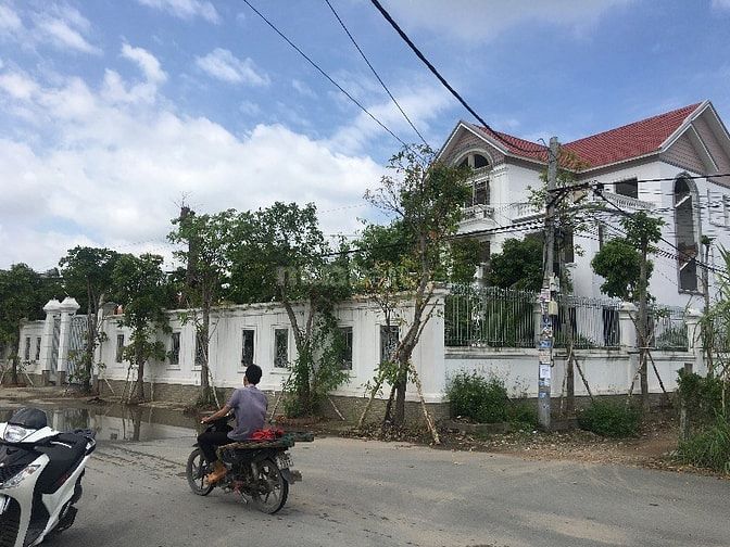 Bán nhà cấp 4 hẻm 114 vườn lài thông ra hẻm 140 55487495 Bán nhà cấp 4 hẻm 114 vườn lài thông ra hẻm 140