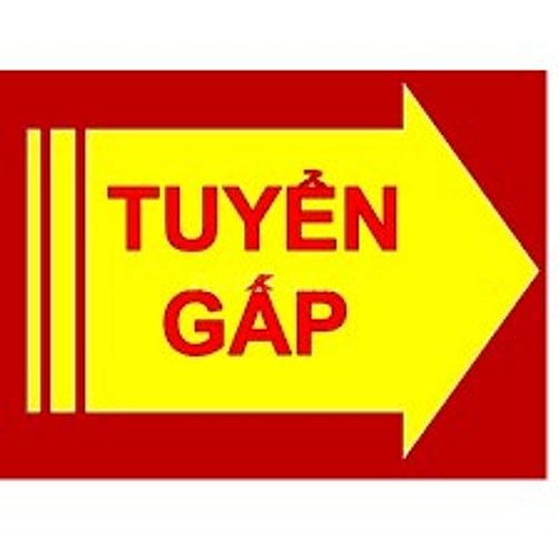 Công ty CP Dược và TBYT Phúc Hà tuyển gấp: 02 KẾ TOÁN NỘI BỘ (7 -12TR) 54040153 Công ty CP Dược và TBYT Phúc Hà tuyển gấp: 02 KẾ TOÁN NỘI BỘ (7 -12TR)
