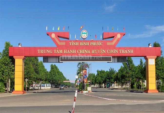 Đất mình rẻ mình bán nhanh. Cách đường DT chỉ 100m. Đường nhựa đẹp 55473843 Đất mình rẻ mình bán nhanh. Cách đường DT chỉ 100m. Đường nhựa đẹp