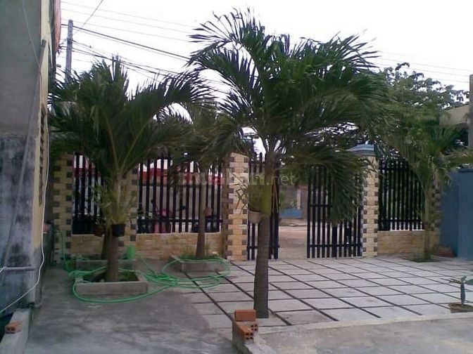 Chính chủ bán 2 lô đất đường Đào Văn Tiến, TP. Nha Trang 55474816 Chính chủ bán 2 lô đất đường Đào Văn Tiến, TP. Nha Trang