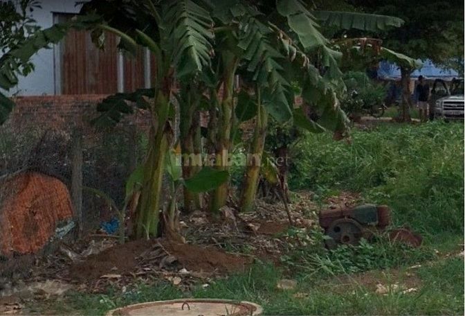 Gấp bán lô đất gần bệnh viện đa khoa 55475341 Gấp bán lô đất gần bệnh viện đa khoa