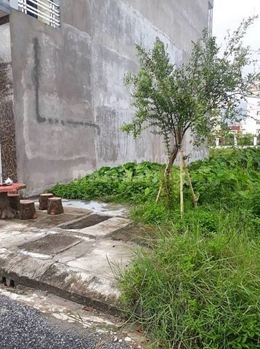 Gấp bán lô đất gần bệnh viện đa khoa 55475341 Gấp bán lô đất gần bệnh viện đa khoa