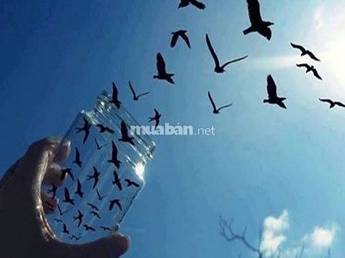 Tuyển sinh viên làm thêm, có xoay ca. 55444230 Tuyển sinh viên làm thêm, có xoay ca.