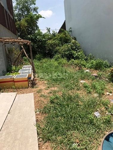Cần tiền nên bán gấp lô đất ngay đường Võ CônTôn-Long An 55553791 Cần tiền nên bán gấp lô đất ngay đường Võ CônTôn-Long An