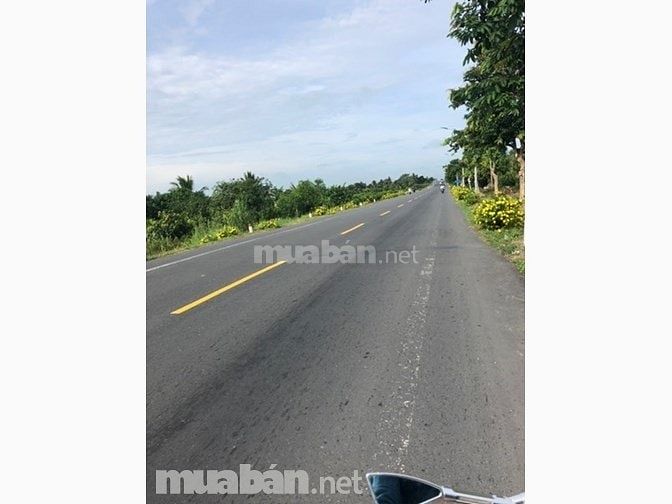 Bán đất Quốc Lộ 61C, Vị Thủy, Châu Thành - Hậu Giang. giá tốt nhất!!! 55608103 Bán đất Quốc Lộ 61C, Vị Thủy, Châu Thành - Hậu Giang. giá tốt nhất!!!