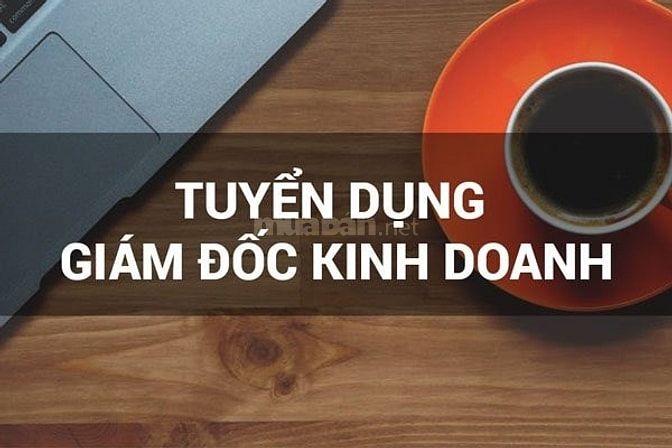 Tuyển giám đốc kinh doanh khu vực TpHCM và Đông Nam Bộ 55622203 Tuyển giám đốc kinh doanh khu vực TpHCM và Đông Nam Bộ