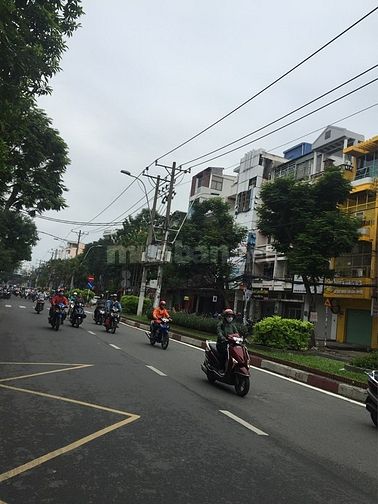 Gấp!!! Bán nhà Mặt tiền đường 30m Bàu Cát đôi: 4.2x30m kd sầm uất nhất 50593556 Gấp!!! Bán nhà Mặt tiền đường 30m Bàu Cát đôi: 4.2x30m kd sầm uất nhất