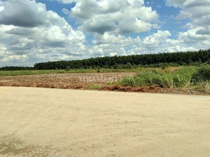 Cần thanh lý lô đất 1000m2/610tr ngay ql 14 TP Đồng Xoài, SHR 55679157 Cần thanh lý lô đất 1000m2/610tr ngay ql 14 TP Đồng Xoài, SHR