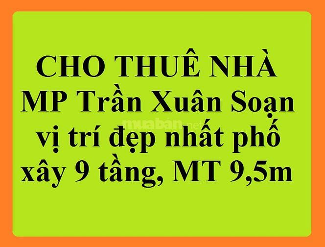 Chính chủ, cho thuê nhà 9 tầng, mặt phố số 67 Trần Xuân Soạn, 58064108 Chính chủ, cho thuê nhà 9 tầng, mặt phố số 67 Trần Xuân Soạn,