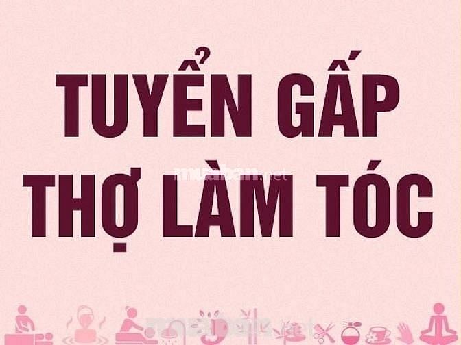 Tuyển 1 thợ làm tóc nữ, làm ở 101 Đỗ Xuân Hợp, Quận 9 58066538 Tuyển 1 thợ làm tóc nữ, làm ở 101 Đỗ Xuân Hợp, Quận 9