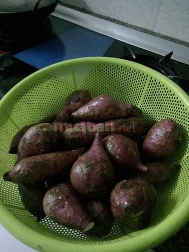Cần người chăm e bé 7tr bao ăn ở Tại Đa Nẵng 58099429 Cần người chăm e bé 7tr bao ăn ở Tại Đa Nẵng