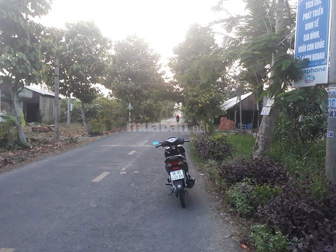 Bán 1.569m2 đất vị trí đẹp đã san lắp bằng mặt lộ đường tỉnh 931B 58120155 Bán 1.569m2 đất vị trí đẹp đã san lắp bằng mặt lộ đường tỉnh 931B
