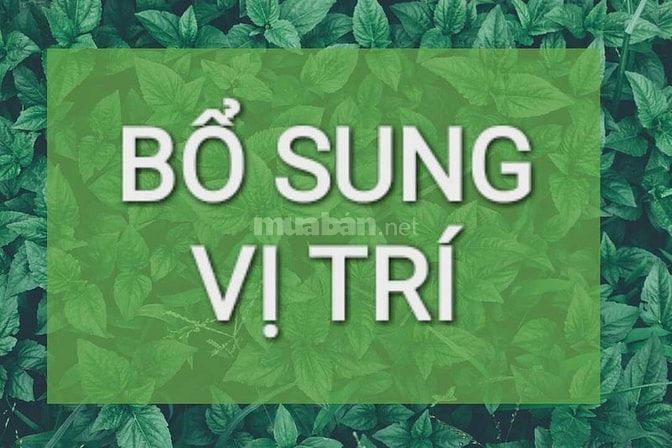 3 nam nữ kinh nghiêm tư vấn dược phẩm 58183244 3 nam nữ kinh nghiêm tư vấn dược phẩm