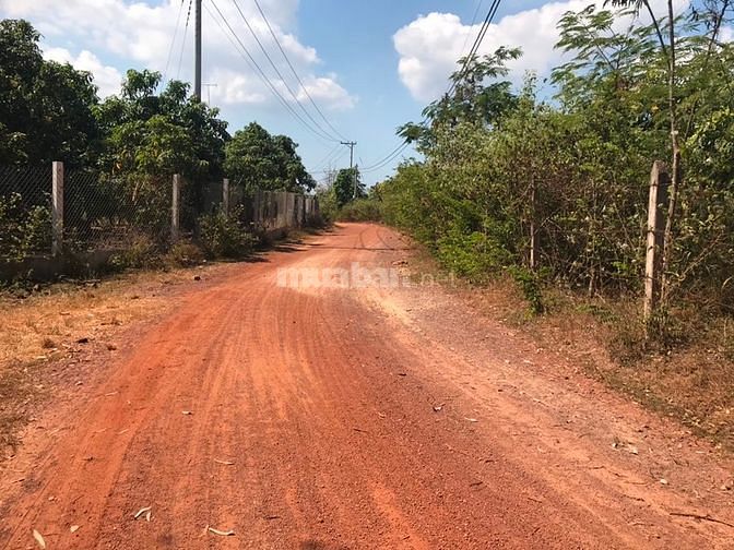 Bán 1300m2 đất trồng hoa màu tại la ngà định quán giá 320 triệu 58176615 Bán 1300m2 đất trồng hoa màu tại la ngà định quán giá 320 triệu