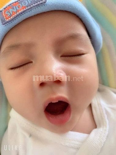 Mình cần tìm người giúp việc cho nhà mình Nhà có 2 vợ chồng và 1 bé 51818780 Mình cần tìm người giúp việc cho nhà mình Nhà có 2 vợ chồng và 1 bé