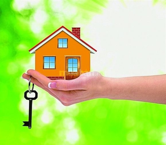 Cho thuê cửa tầng 1, diện tích 35 m2, ngõ 254 đường Bưởi 58236182 Cho thuê cửa tầng 1, diện tích 35 m2, ngõ 254 đường Bưởi