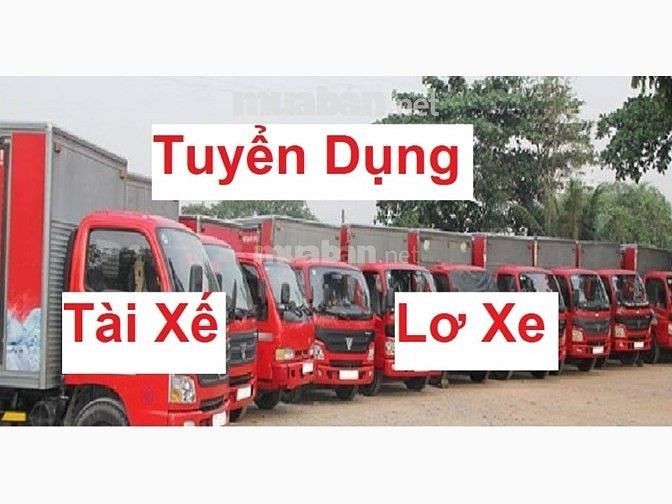 Cần Tuyển Lái Xe Và Lơ Xe, phụ xe lương 600k/1 ngày Lãnh Tiền Ngày