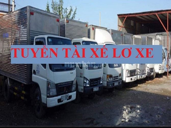 Cần Tài Xế Dấu C,B2 và Phụ Xe Giao Hàng Từ Kho Cho Các Đại Lý 58323663 Cần Tài Xế Dấu C,B2 và Phụ Xe Giao Hàng Từ Kho Cho Các Đại Lý