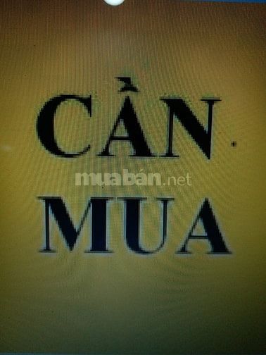 Cần mua nhà chính chủ Q1, Q10, Q3, Tân Bình 58137058 Cần mua nhà chính chủ Q1, Q10, Q3, Tân Bình