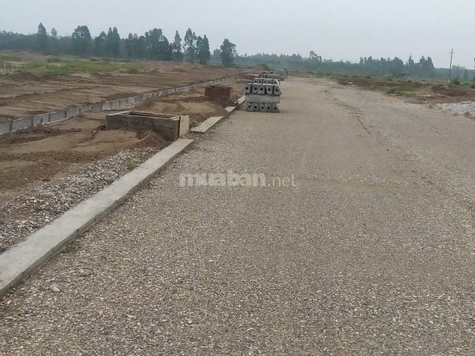 Bán đất nền trung tâm Thuận Thành Bắc Ninh 58335454 Bán đất nền trung tâm Thuận Thành Bắc Ninh