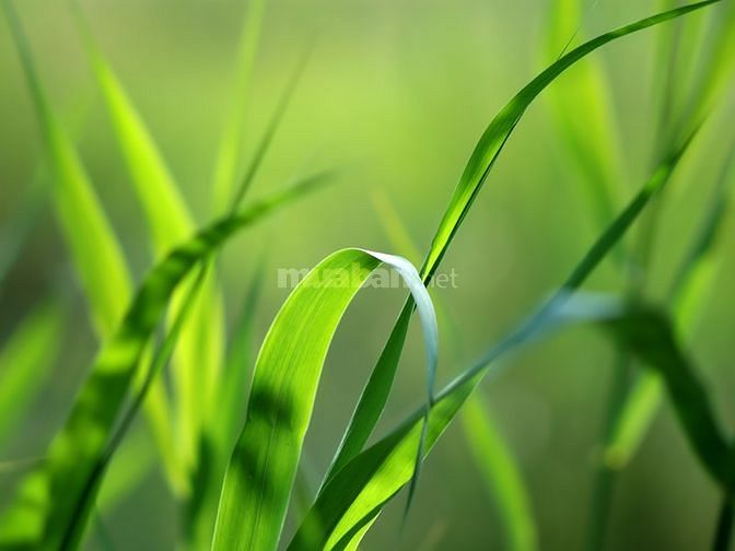 Tìm việc làm tuyển dụng tại Hà Nội tuyển công nhân hỗ trợ chỗ ăn ở lại 58348408 Tìm việc làm tuyển dụng tại Hà Nội tuyển công nhân hỗ trợ chỗ ăn ở lại