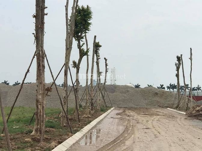 Bán lô góc blk 52 dt 146 m2, đường rộng 20m, giá 12 tr/m2 58385920 Bán lô góc blk 52 dt 146 m2, đường rộng 20m, giá 12 tr/m2