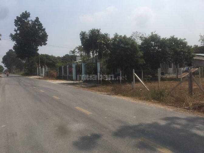 Đất MT Bùi Thị Điệt. 150m2. Giá 1ty800. Shr. Khu dân cư. 58420043 Đất MT Bùi Thị Điệt. 150m2. Giá 1ty800. Shr. Khu dân cư.