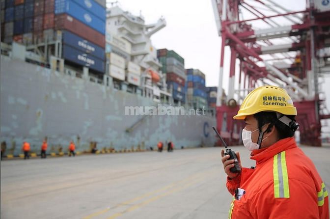 Mở rộng sản xuất tuyển dụng LĐ bổ sung làm tại cảng container 58461654 Mở rộng sản xuất tuyển dụng LĐ bổ sung làm tại cảng container