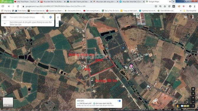 Đất vườn Lộc Tân, Bảo Lâm cách đường lên cao tốc 1.5km 58608296 Đất vườn Lộc Tân, Bảo Lâm cách đường lên cao tốc 1.5km