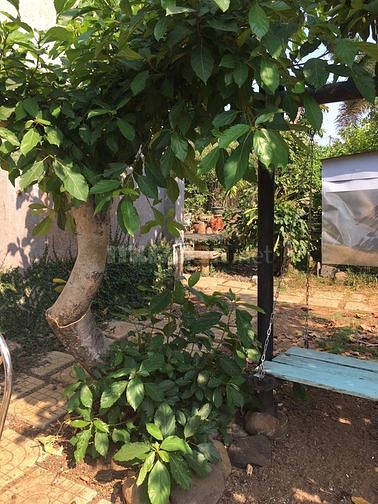 Cần bán gấp nhà hẻm, đường Phan Bội Châu, Phường 2, Bình Thạnh 58664011 Cần bán gấp nhà hẻm, đường Phan Bội Châu, Phường 2, Bình Thạnh