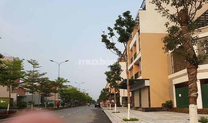 Bán nhà cấp 4 Đại Phúc, thành phố Bắc Ninh 58730957 Bán nhà cấp 4 Đại Phúc, thành phố Bắc Ninh